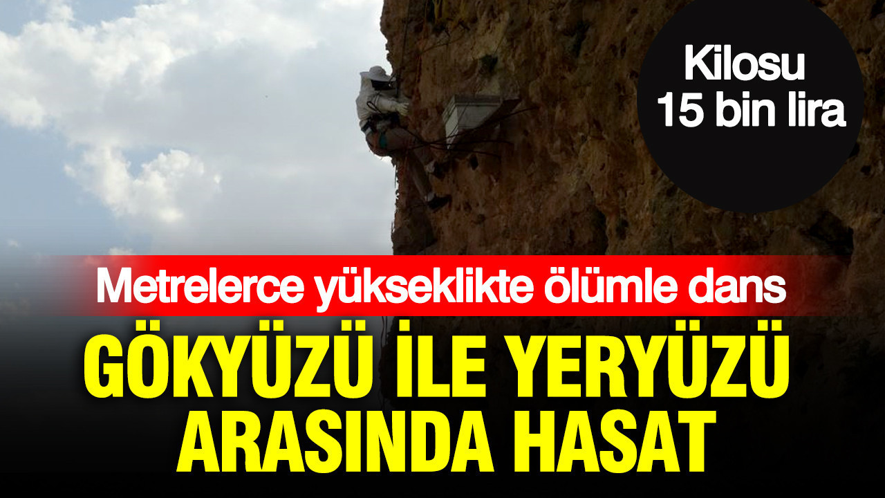 haber-gorseli-1786526066715
